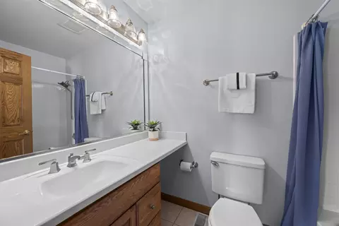 Bath - 4095 Victoria Dr, Hoffman Estates, IL 60192 photo 2 of 3