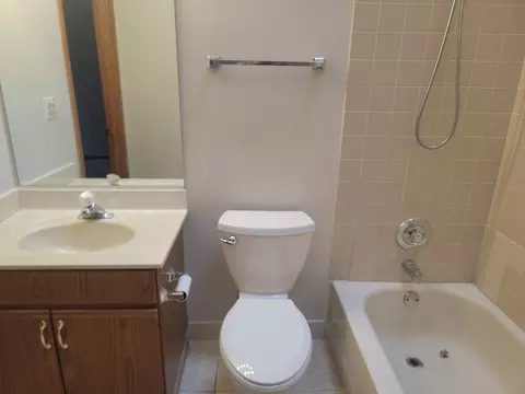 Bath - 473 Nicole Dr #3C, Bartlett, IL 60103 photo 3 of 4
