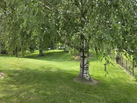 Exterior - 304 Tree Ln, Prophetstown, IL 61277 photo 5 of 6