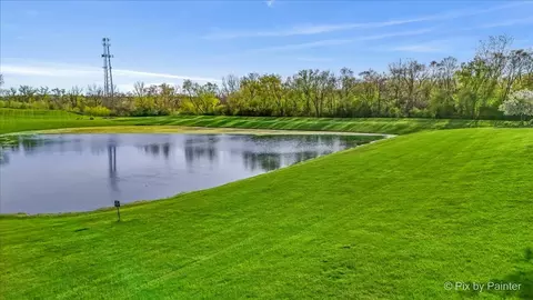 8219 Squirrel Dr, Spring Grove, IL 60081 photo 22