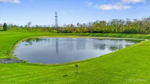 8219 Squirrel Dr, Spring Grove, IL 60081 photo 24