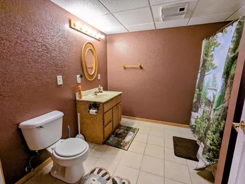 Bath - 720 Smit Rd, Prophetstown, IL 61277 photo 3 of 3