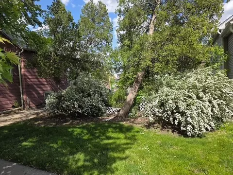 5517 N Mont Clare Ave, Chicago, IL 60656