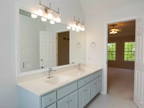 Bath - 13623 Eagles Perch Ct, Plainfield, IL 60544 photo 3 of 5