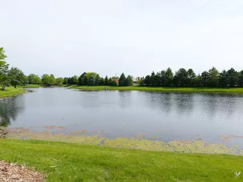 View/Area - 13623 Eagles Perch Ct, Plainfield, IL 60544 photo 1 of 1
