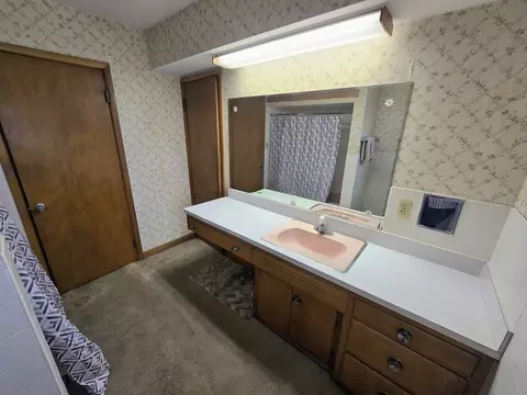 Bath - 426 Maxwell St, Beecher, IL 60401 photo 1 of 2