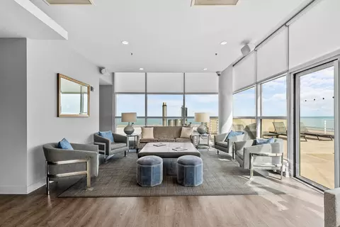 Living - 250 E Pearson St #1007, Chicago, IL 60611 photo 4 of 4