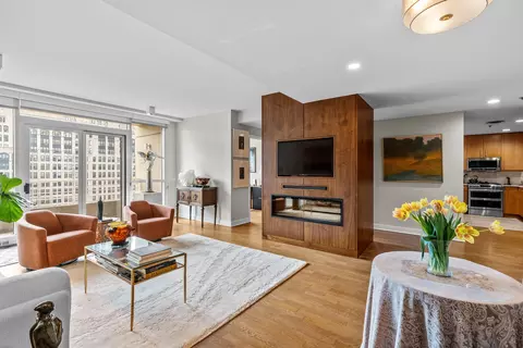 Living - 250 E Pearson St #1007, Chicago, IL 60611 photo 2 of 4