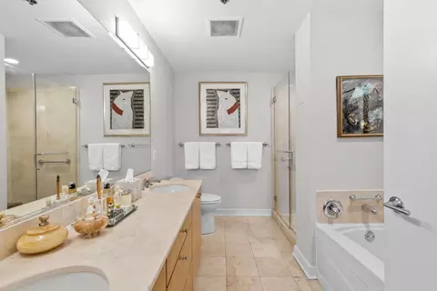 Bath - 250 E Pearson St #1007, Chicago, IL 60611 photo 1 of 3