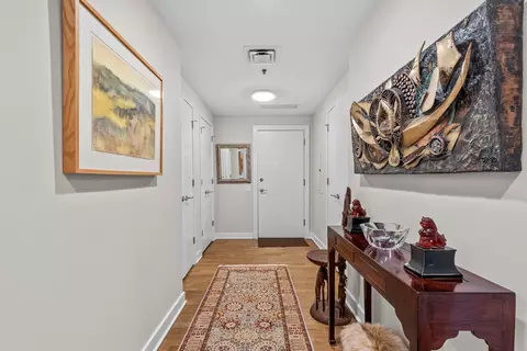 Entry Way - 250 E Pearson St #1007, Chicago, IL 60611 photo 1 of 1