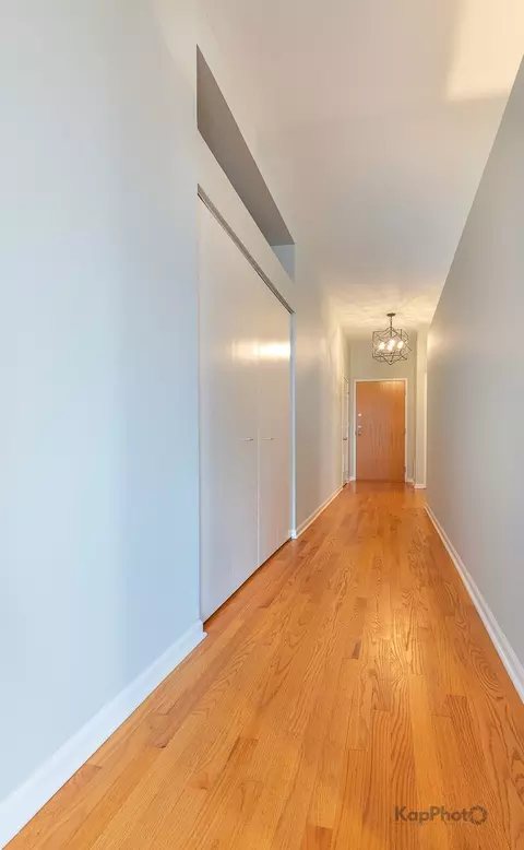 Entry Way - 811 S Lytle St #410, Chicago, IL 60607 photo 2 of 2