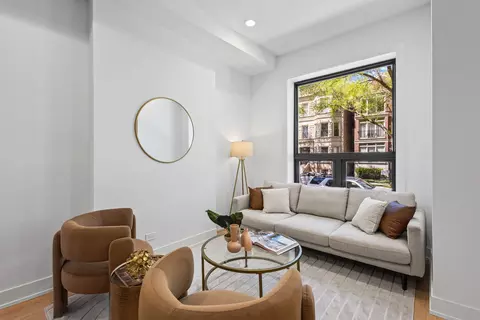 Living - 433 E 46th Pl, Chicago, IL 60653 photo 1 of 1