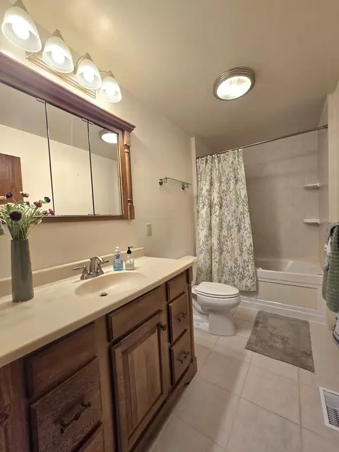 Bath - 330 W Second South St, Chebanse, IL 60922 photo 2 of 5