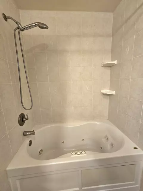 Bath - 330 W Second South St, Chebanse, IL 60922 photo 3 of 5
