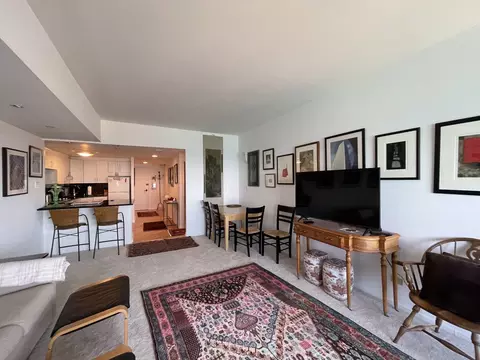Living - 175 E Delaware Pl #5403, Chicago, IL 60611 photo 3 of 5
