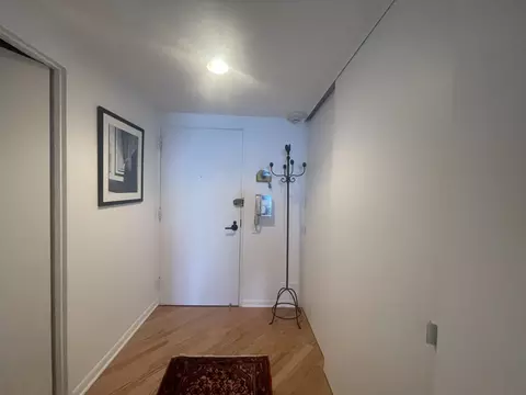 Entry Way - 175 E Delaware Pl #5403, Chicago, IL 60611 photo 1 of 1