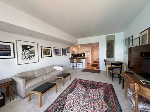 Living - 175 E Delaware Pl #5403, Chicago, IL 60611 photo 4 of 5