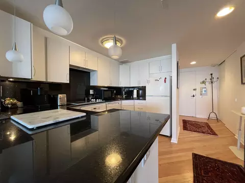 Kitchen - 175 E Delaware Pl #5403, Chicago, IL 60611 photo 1 of 2