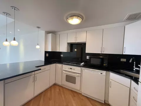 Kitchen - 175 E Delaware Pl #5403, Chicago, IL 60611 photo 2 of 2