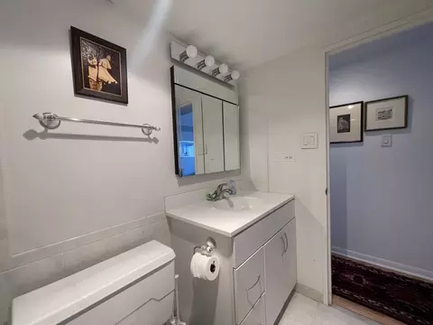 Bath - 175 E Delaware Pl #5403, Chicago, IL 60611 photo 2 of 2