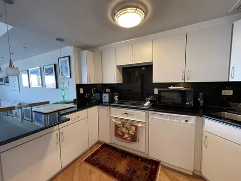 Kitchen - 175 E Delaware Pl #5403, Chicago, IL 60611 photo 2 of 2