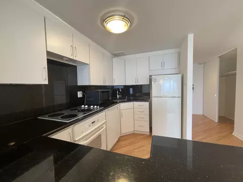 Kitchen - 175 E Delaware Pl #5403, Chicago, IL 60611 photo 1 of 2