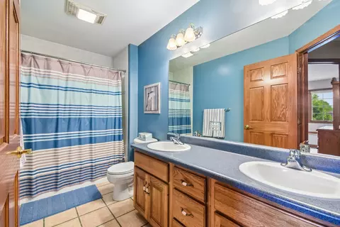 Bath - 1041 Lakeview Dr, Morris, IL 60450 photo 4 of 5