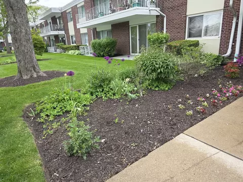 Exterior - 127 N Wolf Rd #41A, Wheeling, IL 60090 photo 5 of 12