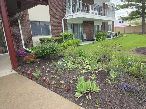 Exterior - 127 N Wolf Rd #41A, Wheeling, IL 60090 photo 6 of 12