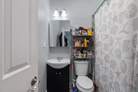 Bath - 5319 S Indiana Ave, Chicago, IL 60615 photo 4 of 6