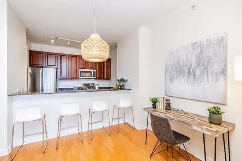 233 E 13th St #2108, Chicago, IL 60605 photo 13