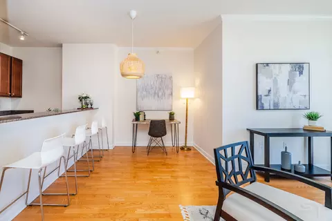 233 E 13th St #2108, Chicago, IL 60605 photo 12