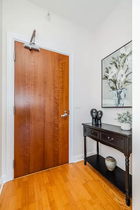 233 E 13th St #2108, Chicago, IL 60605 photo 4