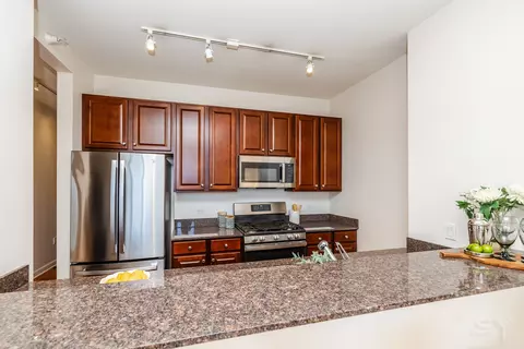 233 E 13th St #2108, Chicago, IL 60605 photo 14