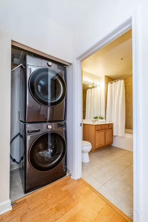 233 E 13th St #2108, Chicago, IL 60605 photo 20