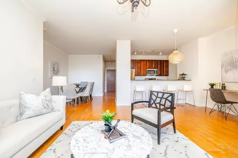 233 E 13th St #2108, Chicago, IL 60605 photo 10