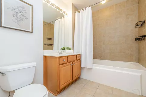 233 E 13th St #2108, Chicago, IL 60605 photo 21