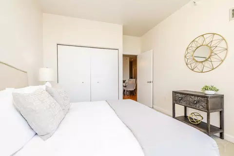 233 E 13th St #2108, Chicago, IL 60605 photo 19