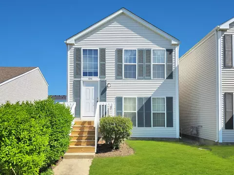 1041 Serendipity Dr, Aurora, IL 60504