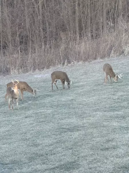 Other - 1200 E James B Young Rd, Galva, IL 61434 photo 14 of 17