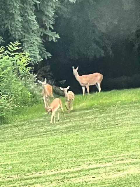 Other - 1200 E James B Young Rd, Galva, IL 61434 photo 16 of 17