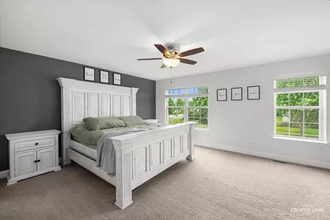 Bedroom - 352 Coneflower Dr, Minooka, IL 60447 photo 3 of 5
