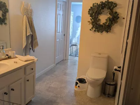 Bath - 109 Labrador Ln, Downs, IL 61736 photo 3 of 6