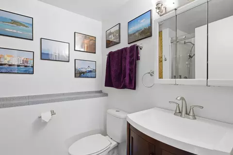 Bath - 1375 Borden Dr, Elgin, IL 60120 photo 3 of 4