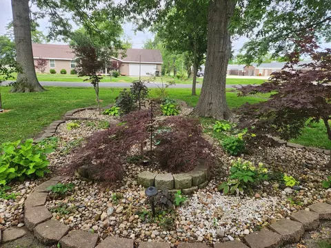 Exterior - 211 E Depew St, Odin, IL 62870 photo 6 of 11
