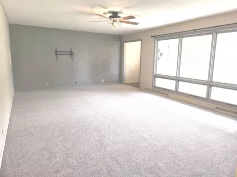 Living - 211 E Depew St, Odin, IL 62870 photo 2 of 4