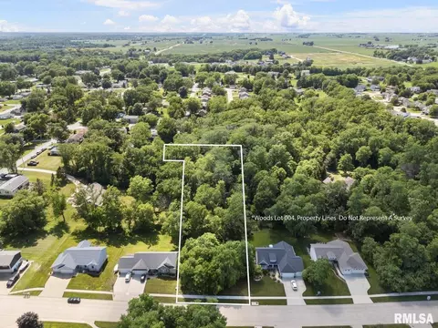 lot004 N The Woods N 8th St, Le Claire, IA 52753