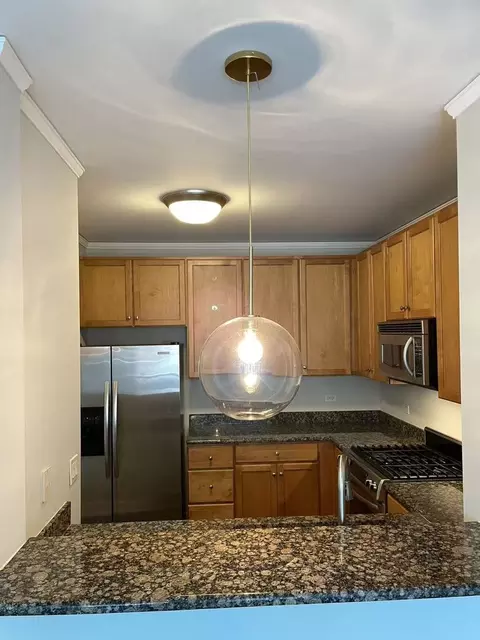 Kitchen - 450 E Waterside Dr #1106, Chicago, IL 60601 photo 2 of 3
