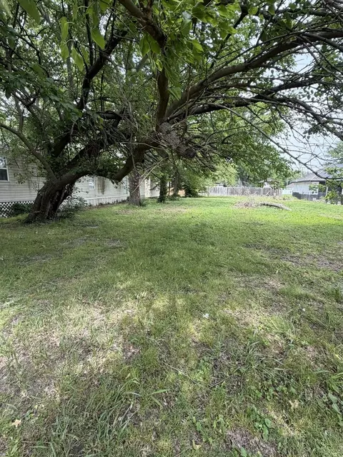 309 W Sylvia Ave, Christopher, IL 62822 photo 8