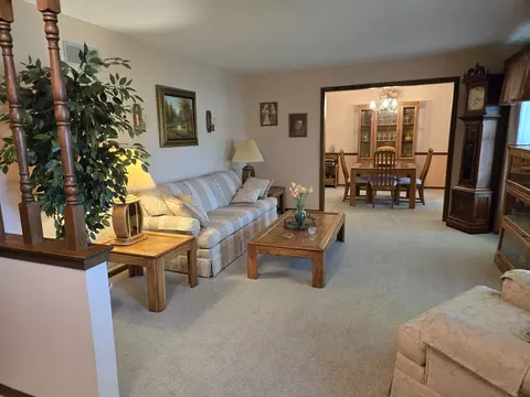 Living - 3479 N Edward Dr, Crete, IL 60417 photo 5 of 6